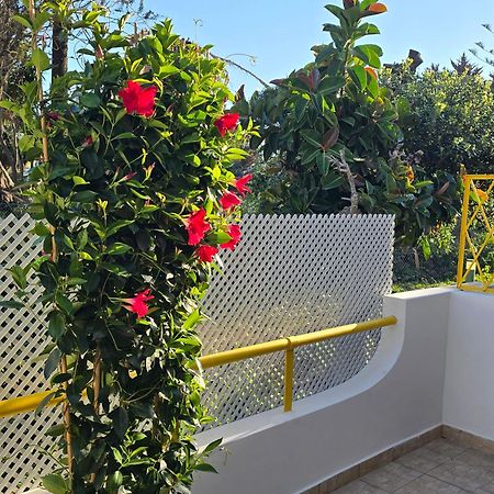 Apartamento Victoria Vilamoura Ngoại thất bức ảnh