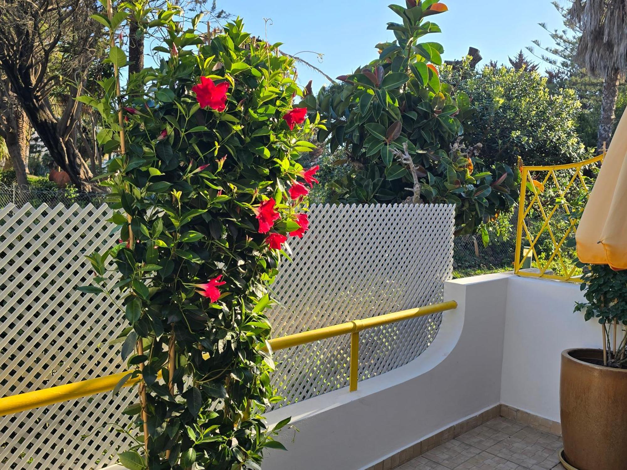 Apartamento Victoria Vilamoura Ngoại thất bức ảnh
